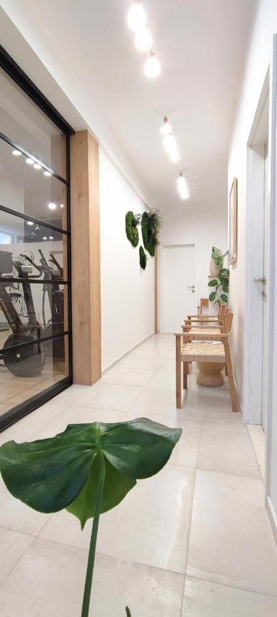 Luna Serene - Gym